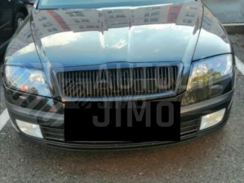 Přední světla, lampy xenonové Škoda Octavia II 04-09 Day light černé