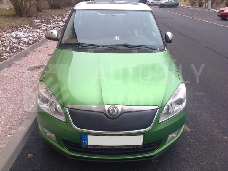zimni clona focus 2010 zimni clona focus 2010