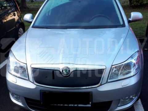 Zimní clona chladiče Škoda Octavia II 08-13 Zimní clona chladiče Škoda Octavia II 08-13