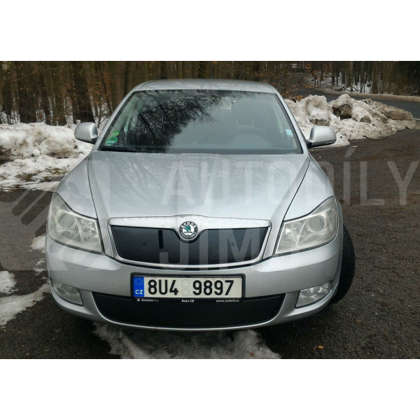 Zimní clona Škoda Octavia II 09-13, kryt nárazníku