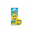 AREON DRY SMILE - Fresh Air závěsná vůně klasická
