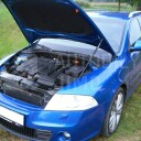 Plynová vzpěra kapoty motoru, Škoda Octavia II + Facelift