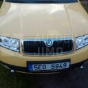 Přední světla, lampy Angel Eyes Škoda Fabia I 99-08 chromová 