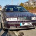 Zimní clona chladiče Škoda Octavia I 96-00, kryt masky