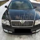 Zimní clona chladiče Škoda Octavia II 04-08 kožená