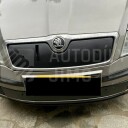 Zimní clony chladiče Škoda Octavia II 04-12, kryt masky + nárazníku na voze od našeho zákazníka