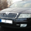 Zimní clony chladiče Škoda Octavia II 04-12, kryt masky + nárazníku na voze našeho zákazníka